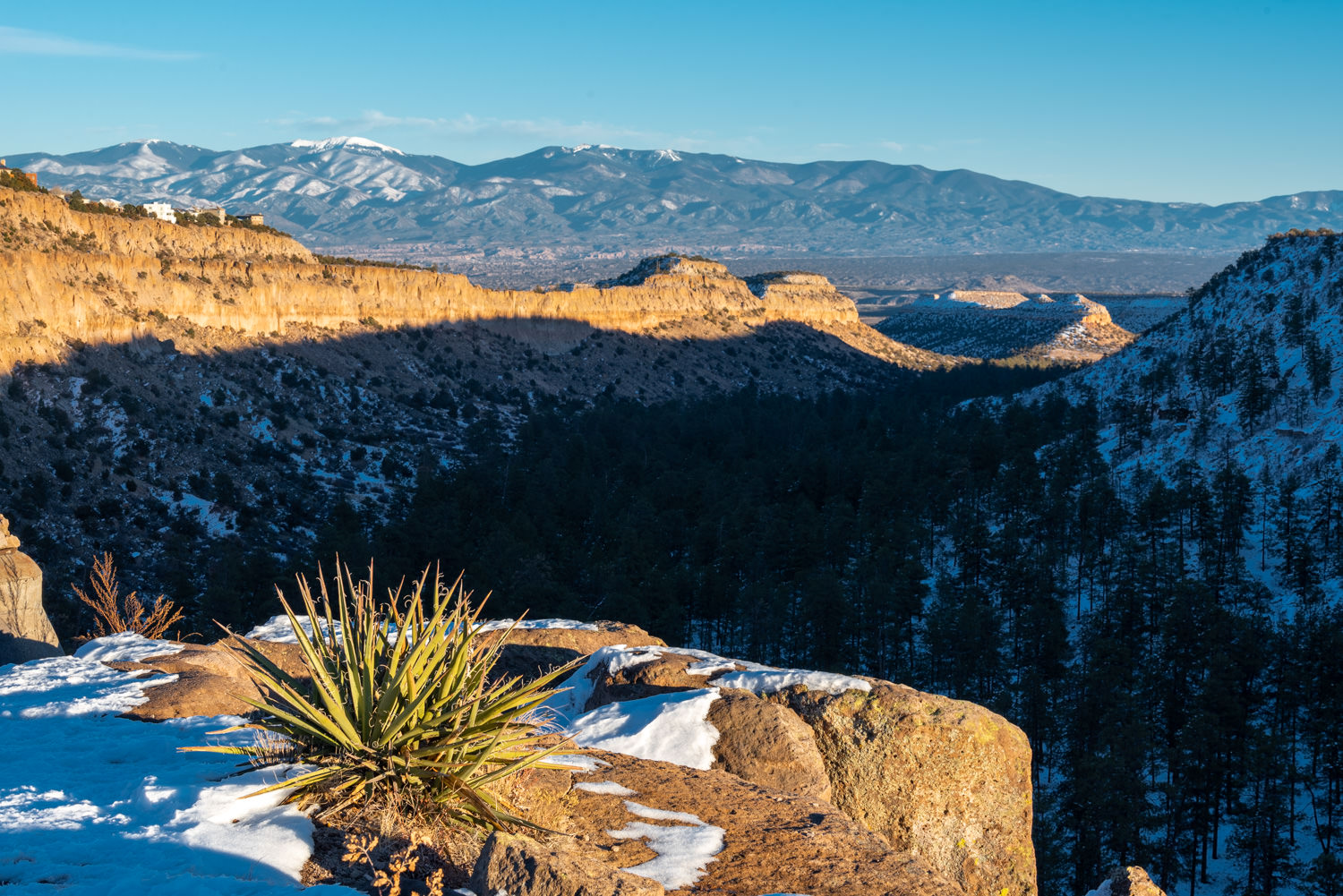 Bayo Canyon - Sangre de Cristo Mountains