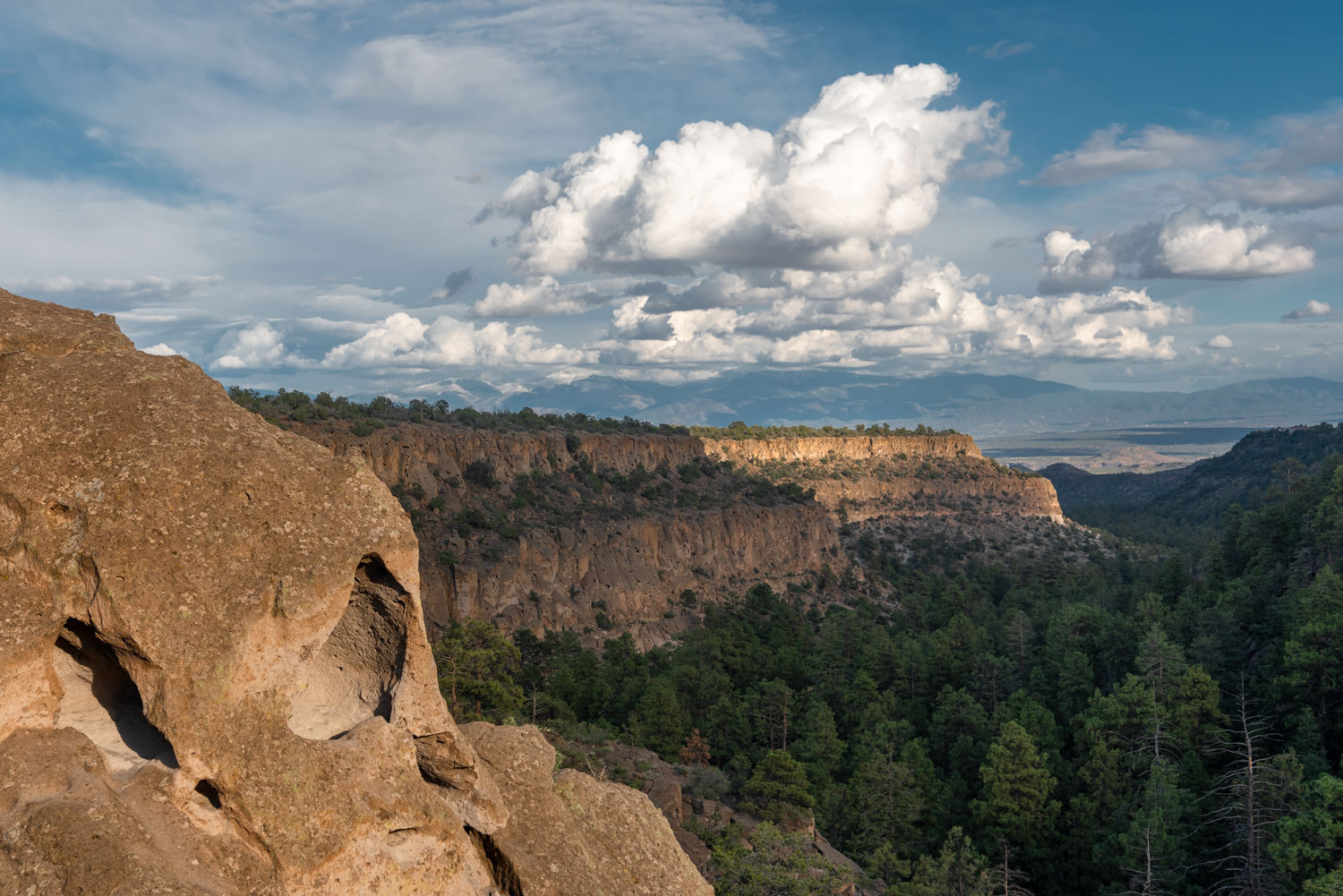 Deer Trap Mesa - Barrancas Canyon