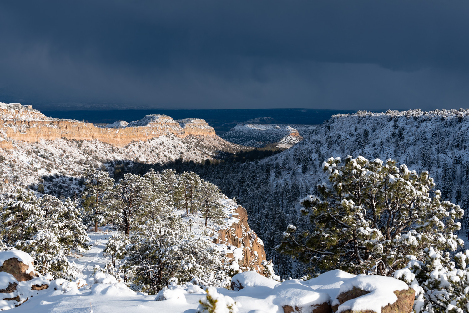 Snowy Bayo Canyon - Barranca Mesa